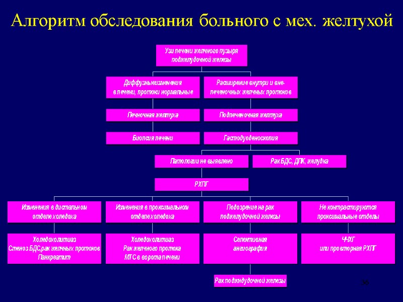 36 Алгоритм обследования больного с мех. желтухой